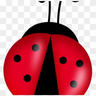 Everything - Ladybird Transparent Clipart, HD Png Download