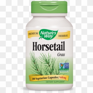 Nature's Way Horsetail Grass Non Gmo Project & Tru - Natures Way Horsetail, HD Png Download