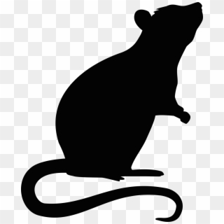 Mouse Rodent Transprent Png Free Download Ⓒ - Transparent Rat Silhouette, Png Download