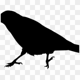 Raven Clipart Raven Bird - Crow Silhouette Transparent Background, HD Png Download