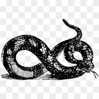 Snake Graphics - Black And White Gadsden Snake Png, Transparent Png