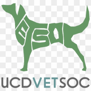 Ucd Vetsoc Are Committed To Delivering Great Events - English Foxhound, HD Png Download
