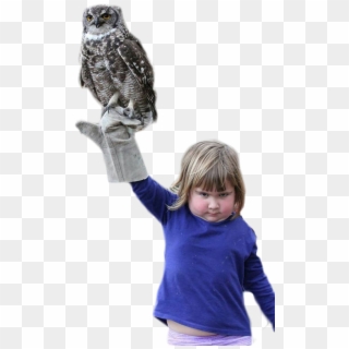 Personan Angry Girl Holding An Owl - Girl Holding Owl, HD Png Download