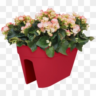 Home > Collection > Loft Urban Flower Bridge - Flowerpot, HD Png Download