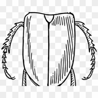 Beetle Outline Cliparts - Line Drawings Of Insects, HD Png Download