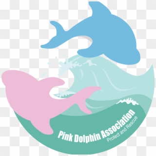 Pinkdolphinasso, HD Png Download