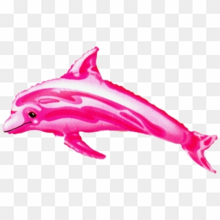 Pink Dolphin - Balloon, HD Png Download