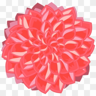 Pink Flowers Drawing Red Petal - Dahlia, HD Png Download