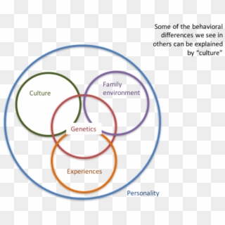 Link Between Culture & Personality - Circle, HD Png Download