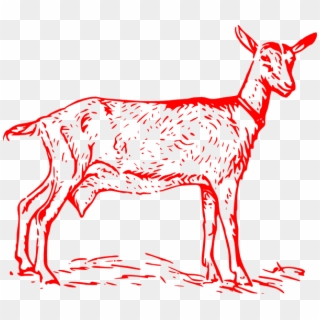 Small - Nigerian Dwarf Goat Drawing, HD Png Download