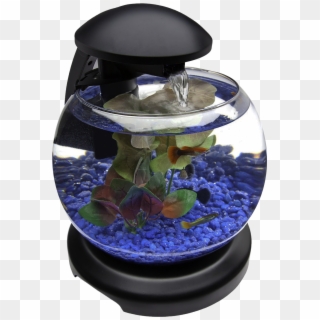 Glob Aquarium Fish Tank Png Transparent Image - Aquarium Fish Tank Png, Png Download