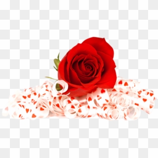Free Red Rose Png Image - Flowers Red Rose Png, Transparent Png