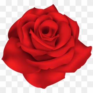 Free Png Download Single Red Rose Png Images Background - Png Red Flowers, Transparent Png