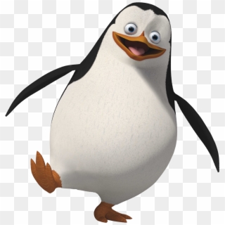 Penguin Cartoon png download - 613*736 - Free Transparent Club Penguin png  Download. - CleanPNG / KissPNG