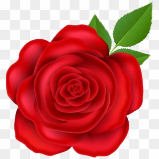 Red Rose Png Clip Art Image - Garden Roses, Transparent Png