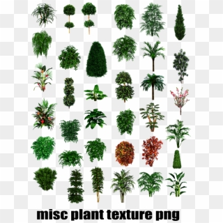 Misc Clipart Bushes - Trees And Plants Top View Png, Transparent Png