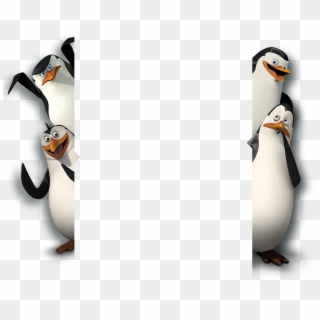 Penguin Images Png - Penguins Madagascar, Transparent Png