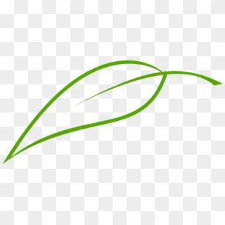 Leaf Logo Png , Png Download, Transparent Png