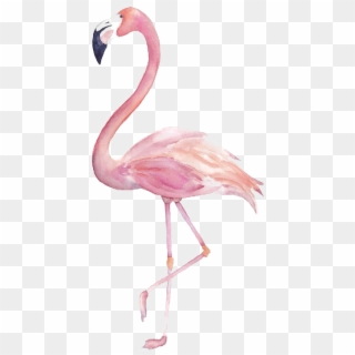 Flamingo Png Image Transparent - Flamingo Clipart Watercolor, Png Download