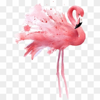 Image Library Library Transparent Watercolours Flamingo - Flamingo Overlay, HD Png Download