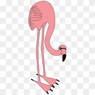 Flamingo Png, Transparent Png