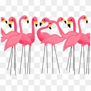 Flamingo Png Transparent Images - Clip Art Flamingo Transparent Background, Png Download