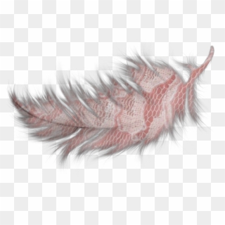 Feather Feathers Pink Decorate Inair Fly - Dessin Plume Blanche, HD Png Download