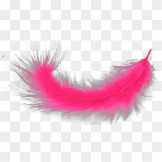 #ftestickers #feather #pink - Feather, HD Png Download