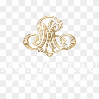 Mlp Logo Logo-gold And White - Emblem, HD Png Download