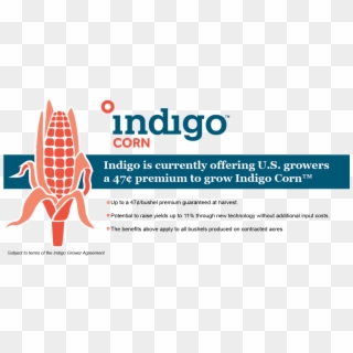 Indigo Ag - Graphic Design, HD Png Download