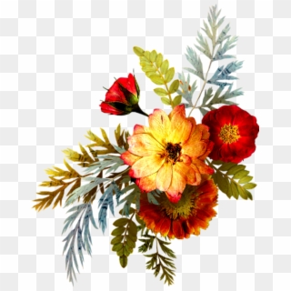 May - Png Bunch Flowers, Transparent Png