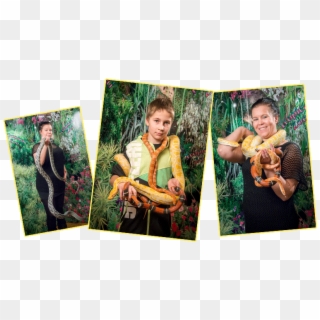 Take A Picture Of Yourself With A Living Snake - Poster, HD Png Download
