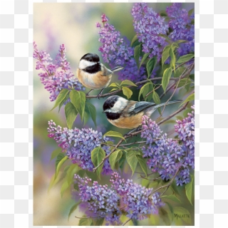 Chickadees And Lilacs - Beautiful Birds, HD Png Download