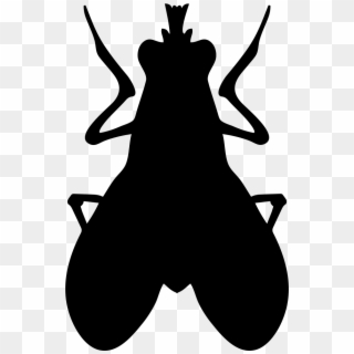 Png File Svg - Insect, Transparent Png