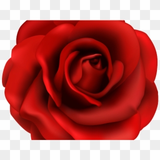 Red Rose Clipart Rose Garden - Happy Valentine 2012, HD Png Download
