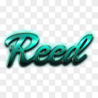 Reed Name Logo Png - Reed Name, Transparent Png