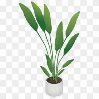 Free Isometric - Indoor Plants Isometric, HD Png Download