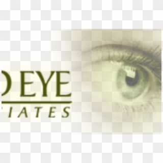 Reed Eye Associates - Acuvue, HD Png Download