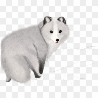 Free Png Fox Png Images Transparent - Arctic Foxes Png, Png Download