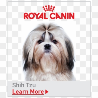 Royal Canin Breed Specific Shih Tzu Food - Royal Canin Dog Food Mini Adult, HD Png Download
