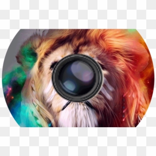 Product Details - Vowzn Circle Of Life, HD Png Download
