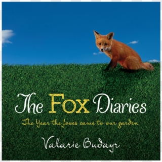 From The Forest To The Front Yard, Experience The Magical - Red Fox, HD Png Download