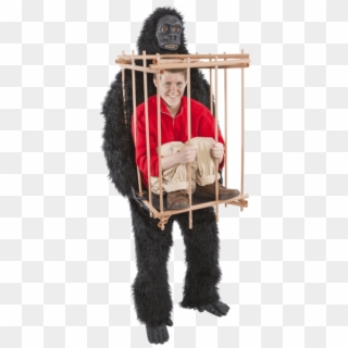 [ Img] - Gorilla Cage Costume, HD Png Download