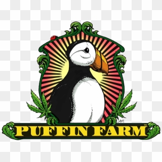 Puffin Farm Logo, HD Png Download