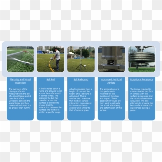 Check Out Our Fifa Football Turf Accredited Test Institutes - Grass, HD Png Download