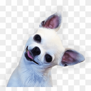 Download Chihuahua Face Side Png Images Background - Chihuahua Png, Transparent Png