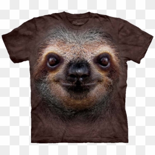 Big Face Panda, Sloth Face - Sloth Face Shirt, HD Png Download