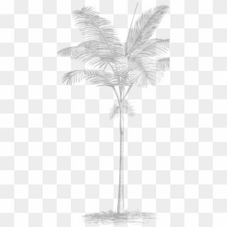 Inspired By A Recent Trip To Miami By Our Creative - Sketch, HD Png Download