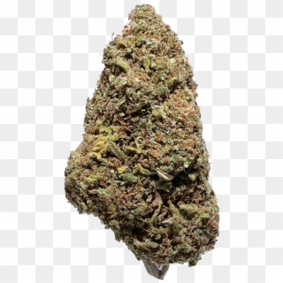 Green-crack - Red Pine, HD Png Download
