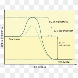Effect Of Enzyme On Activation Energy, HD Png Download